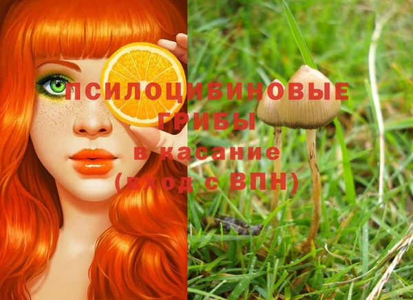 мдпв Надым
